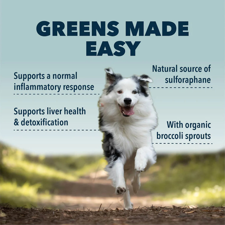 Four Leaf Rover GREEN ROVER - Organic Greens (39g)