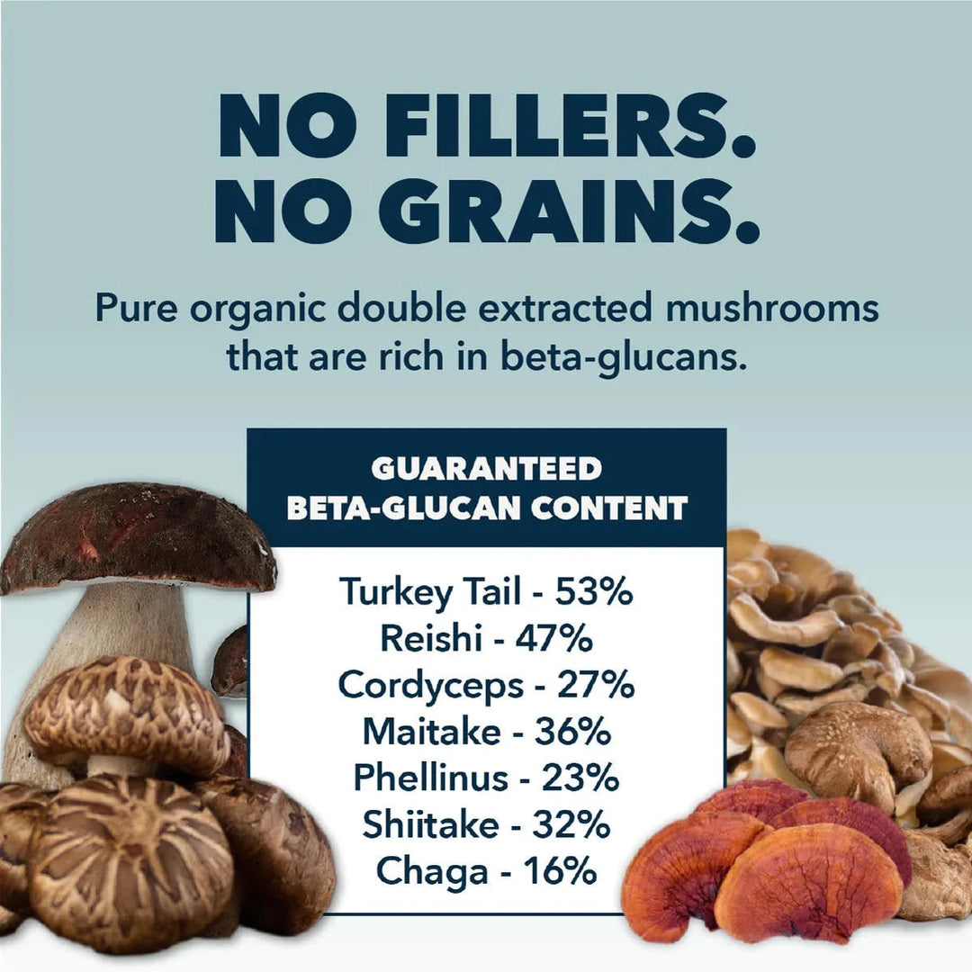 Four Leaf Rover IMMUNITY rebrand to SEVEN 'SHROOMS - Organic Mushroom Mix (51g)