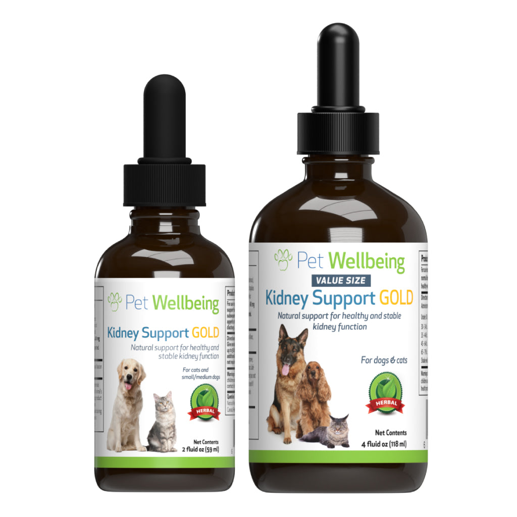 Pet Wellbeing Kidney Support Gold for Cats Dogs Kidney