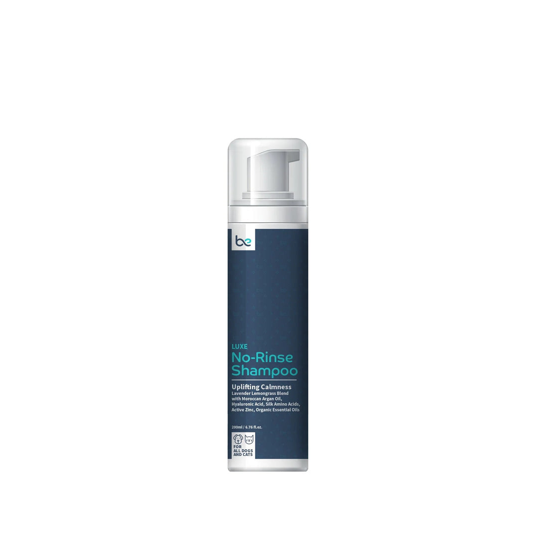 Beyond Clean LUXE No-Rinse Shampoo (Spray / Foaming) - Uplifting Calmness