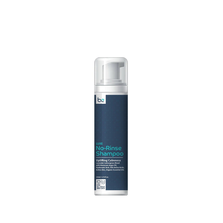 Beyond Clean LUXE No-Rinse Shampoo (Spray / Foaming) - Uplifting Calmness
