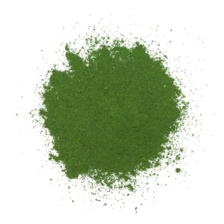 Adored Beast Phyto Synergy (15g / 32g) - Super Antioxidant for Dogs & Cats