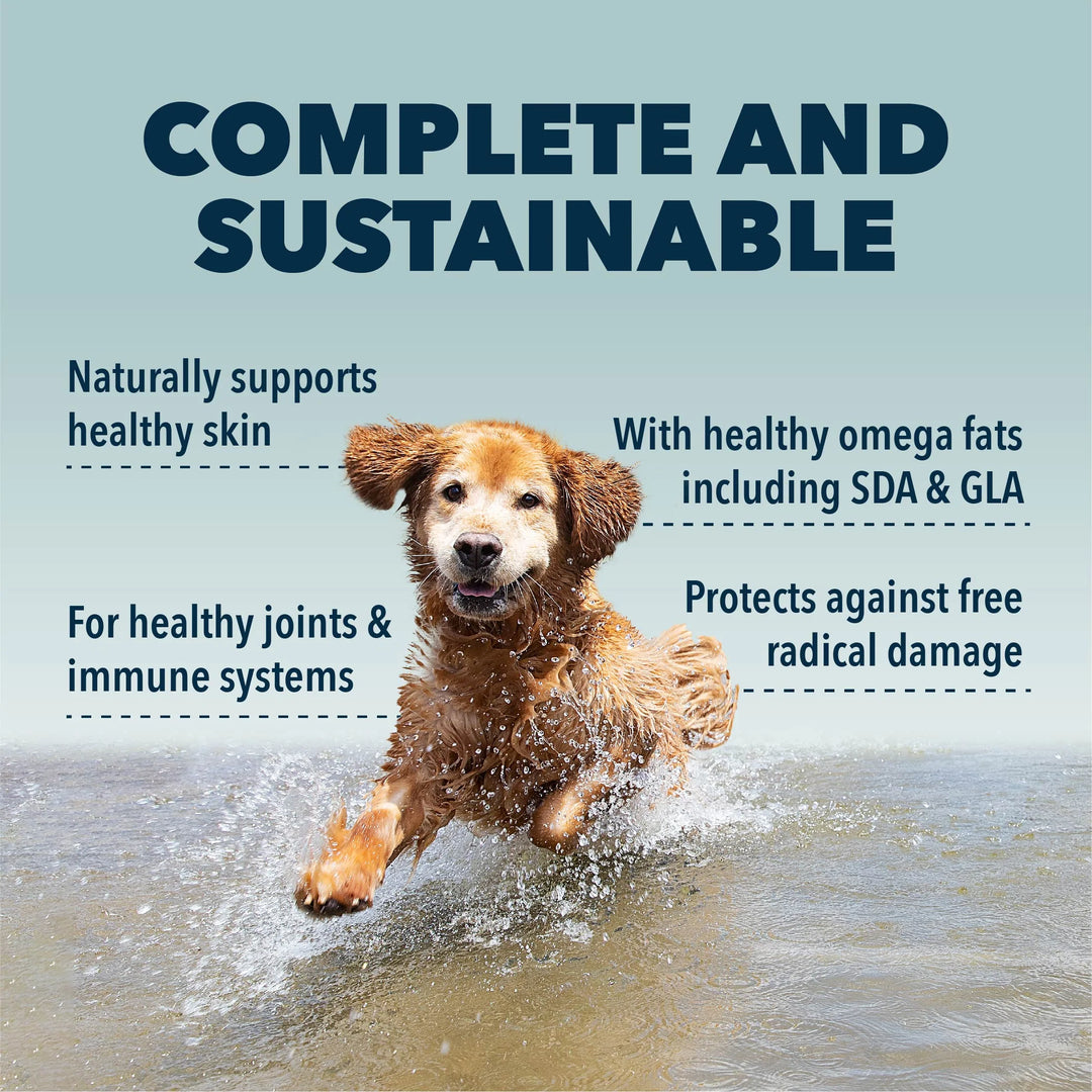 Four Leaf Rover SAFE-SEA: Green Lipped Mussel Oil For Dogs (113ml)