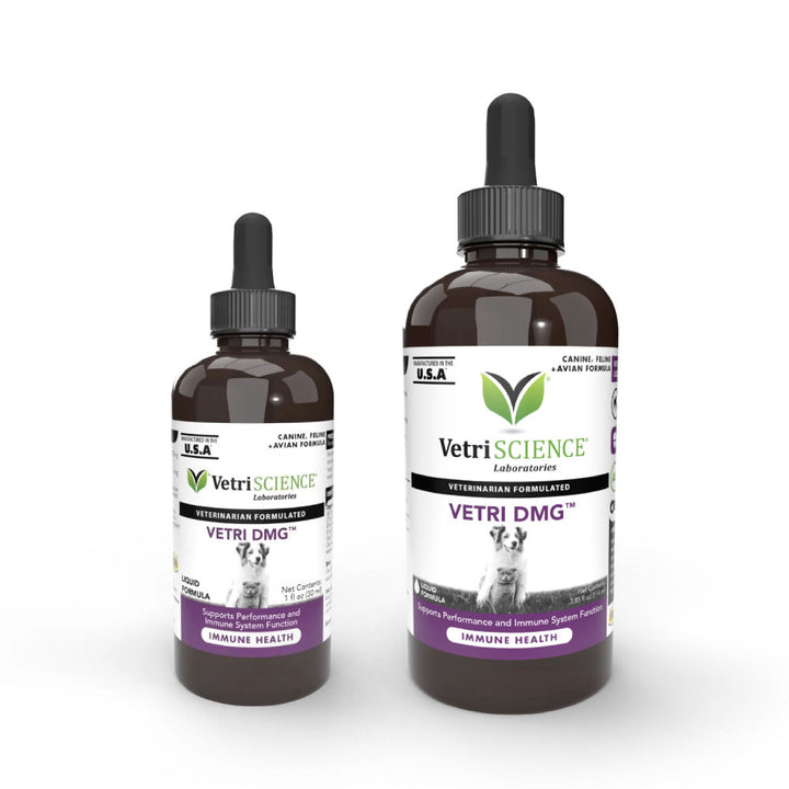 VetriScience® - Vetri DMG™ Liquid - Immune system, liver metabolism, stamina and muscle recovery support
