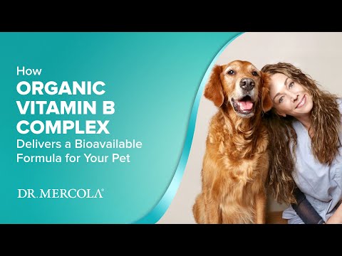 Dr. Mercola | Bark & Whiskers™ Organic Vitamin B Complex for Dogs & Cats (24g)