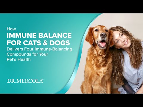 Dr. Mercola | Bark & Whiskers™ Immune Support for Dogs & Cats (102g)