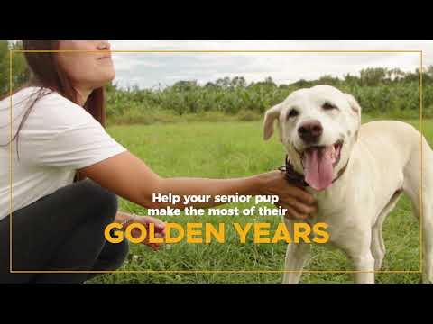 VetriScience® - Golden Years Clear & Bright for Senior Dogs (60 chews)