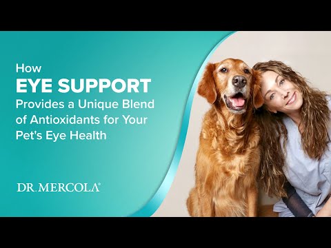 Dr. Mercola | Bark & Whiskers™ Eye Support for Pets, Cats & Dogs (162g)