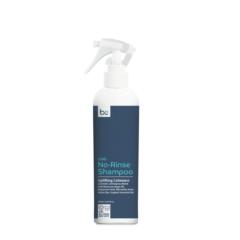Beyond Clean LUXE No-Rinse Shampoo (Spray / Foaming) - Uplifting Calmness
