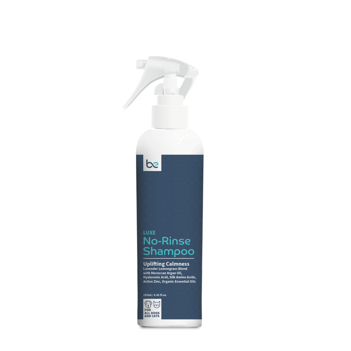 Beyond Clean LUXE No-Rinse Shampoo (Spray / Foaming) - Uplifting Calmness