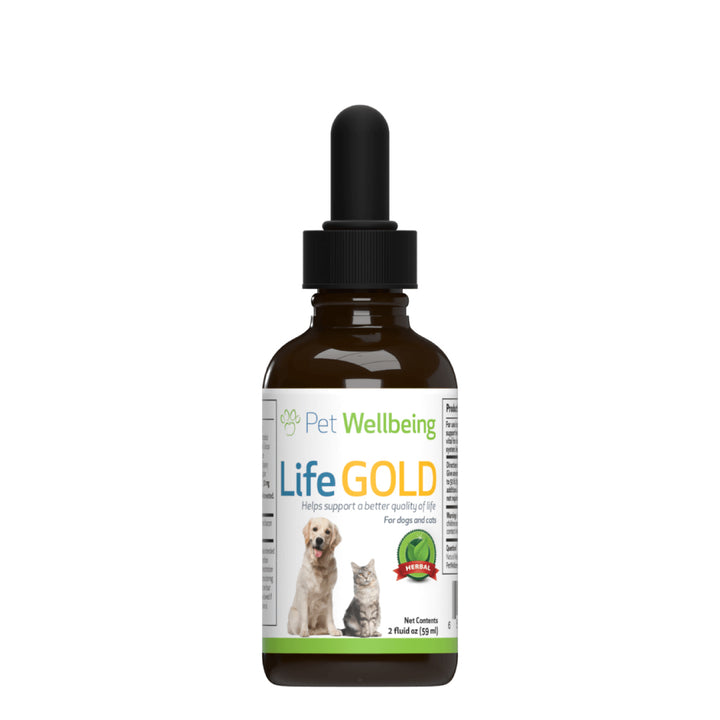 Pet Wellbeing - Life Gold - Trusted Care for Cat & Dog Cancer