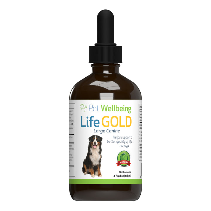 Pet Wellbeing - Life Gold - Trusted Care for Cat & Dog Cancer