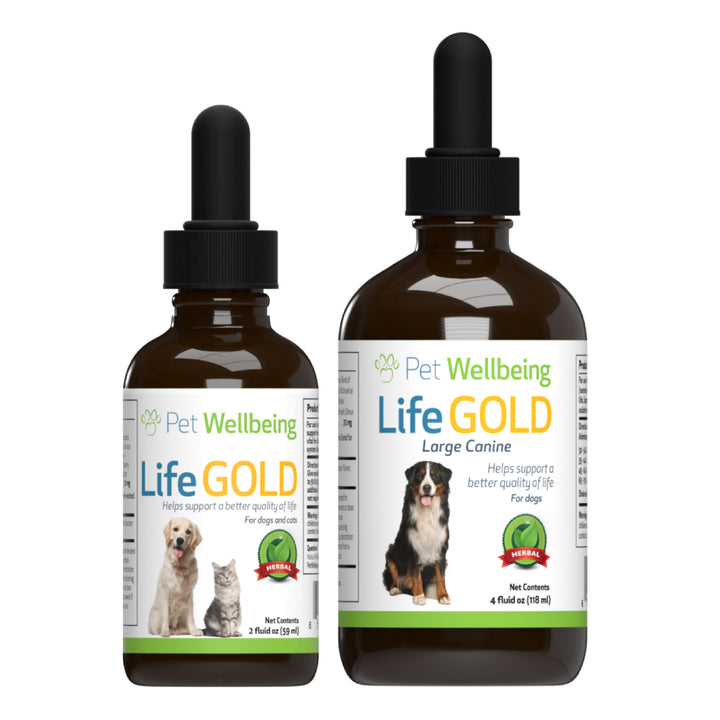 Pet Wellbeing - Life Gold - Trusted Care for Cat & Dog Cancer