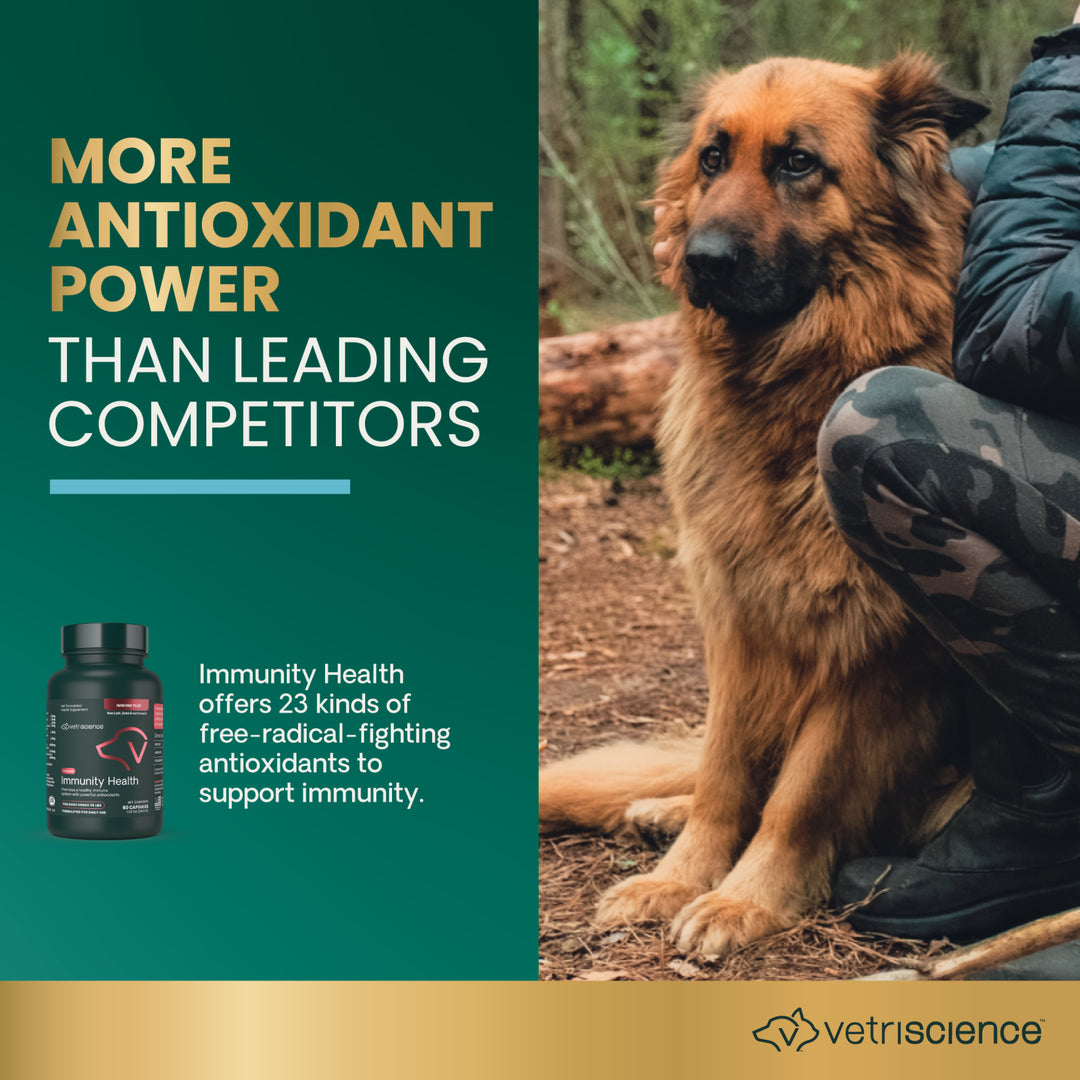 VetriScience Immune Plus - Immunity Support for Small Dogs (60 capsules)