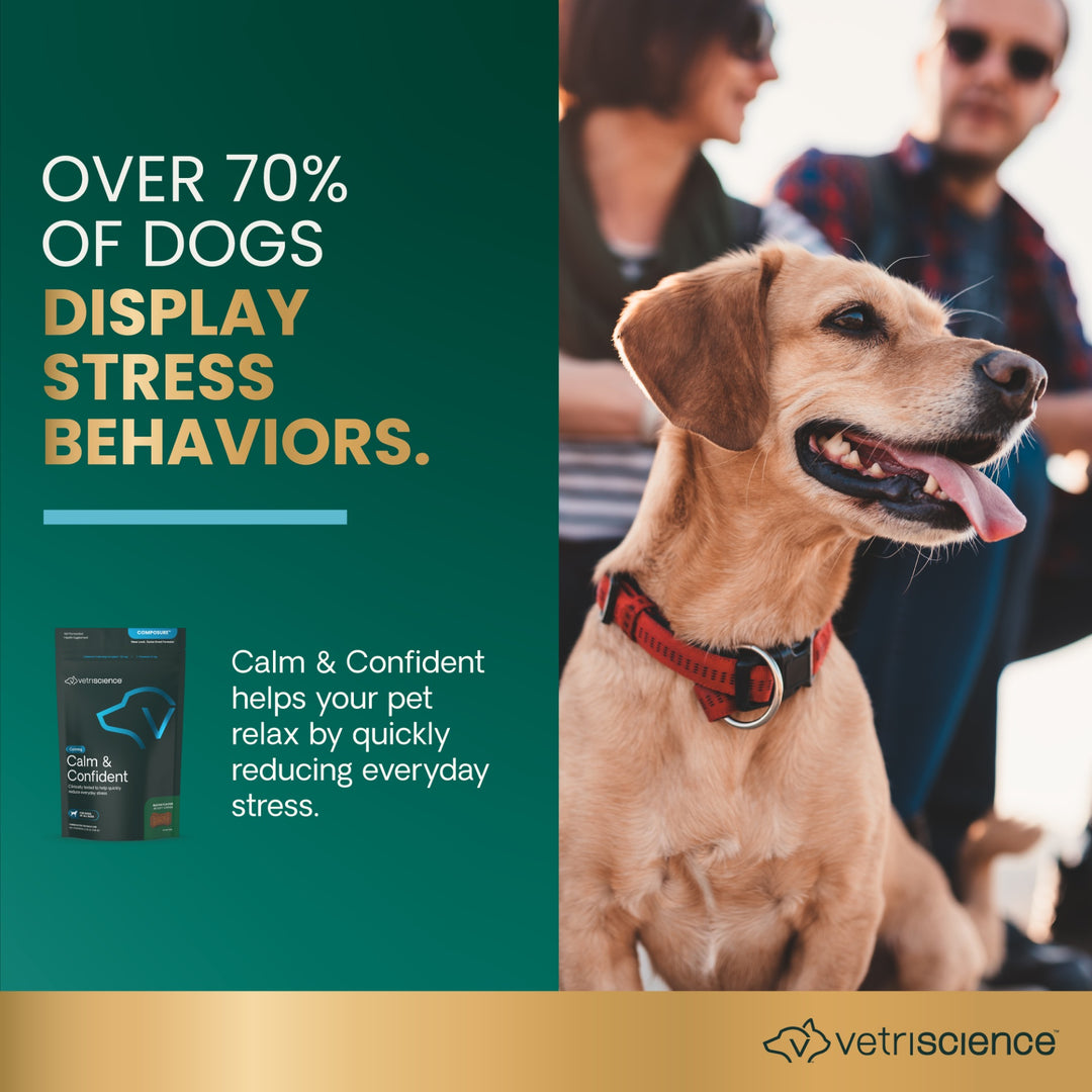 VetriScience Calm & Confident, formally Composure Calming Supplement for Dogs (45 chews, Bacon Flavor)
