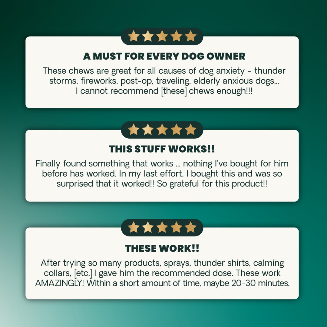 VetriScience Calm & Confident, formally Composure Calming Supplement for Dogs (45 chews, Bacon Flavor)