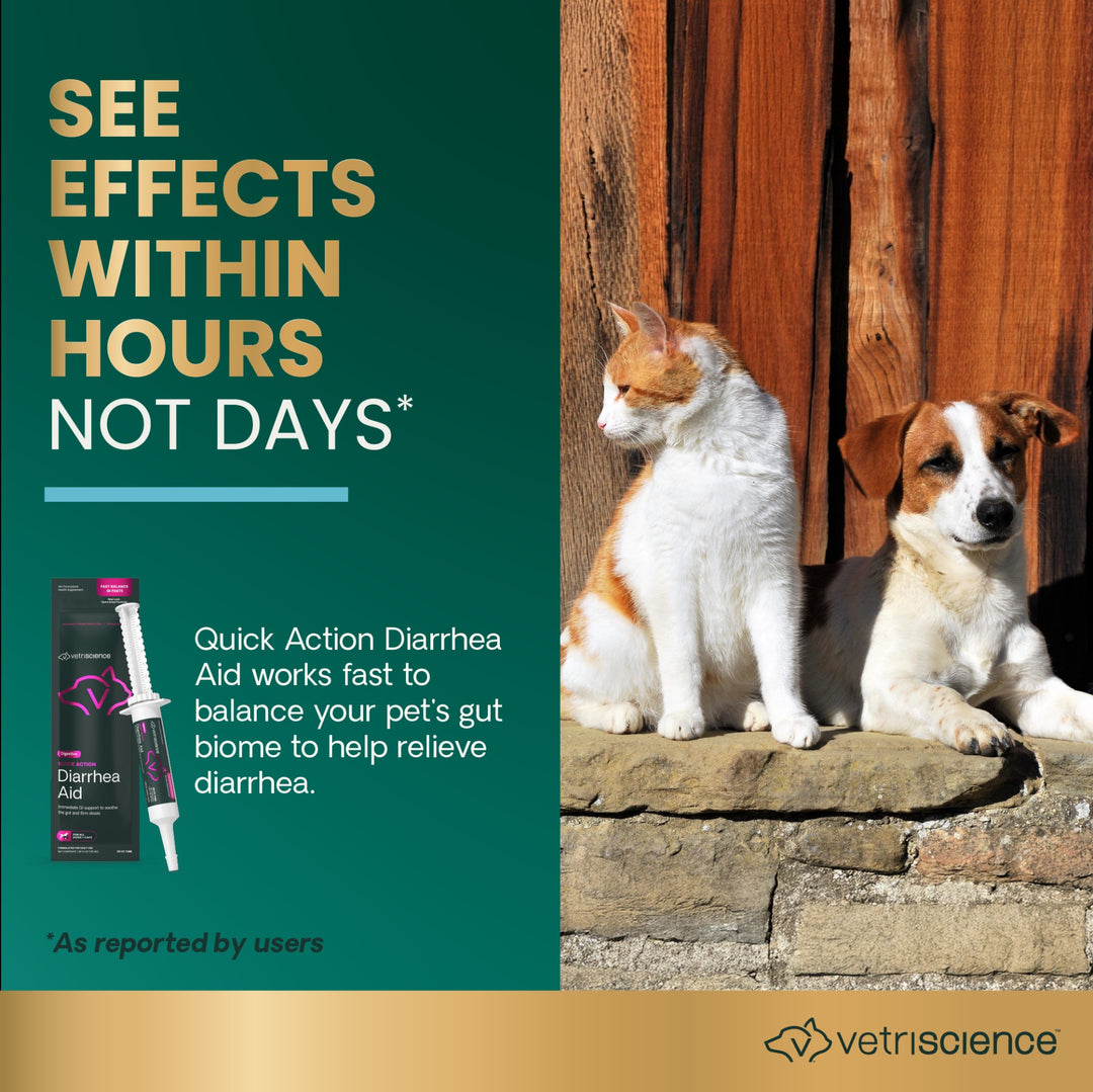 VetriScience Quick Action Diarrhea Aid (35 cc Dial-A-Serving Tube) Results within 24 hours for most pets