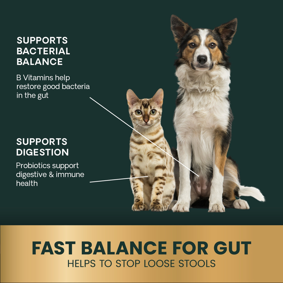 VetriScience Quick Action Diarrhea Aid (35 cc Dial-A-Serving Tube) Results within 24 hours for most pets