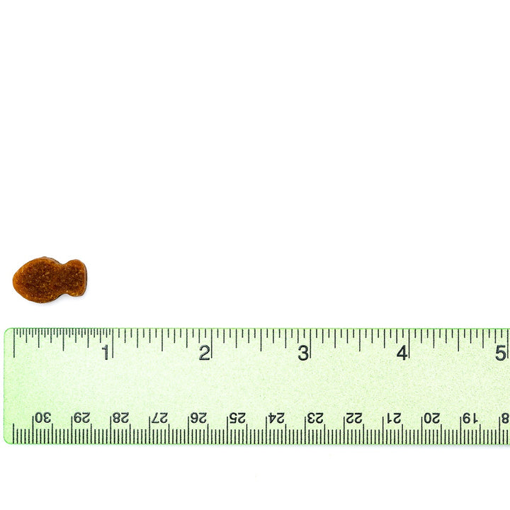 [NEW LOOK!] VetriScience® - Gut Health For Cats (60 chews)  formally known as Probiotic Everyday for Cats