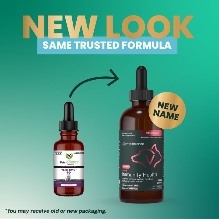 VetriScience DMG Immunity Health - was previously Vetri DMG™ Liquid (30ml/114ml)  - Immune system, liver metabolism, stamina and muscle recovery support