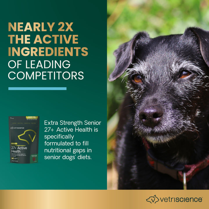 VetriScience Extra Strength Senior 27+ Active Health for Dogs (60 chews) - former known as Golden Years Energize & Thrive Multivitamin