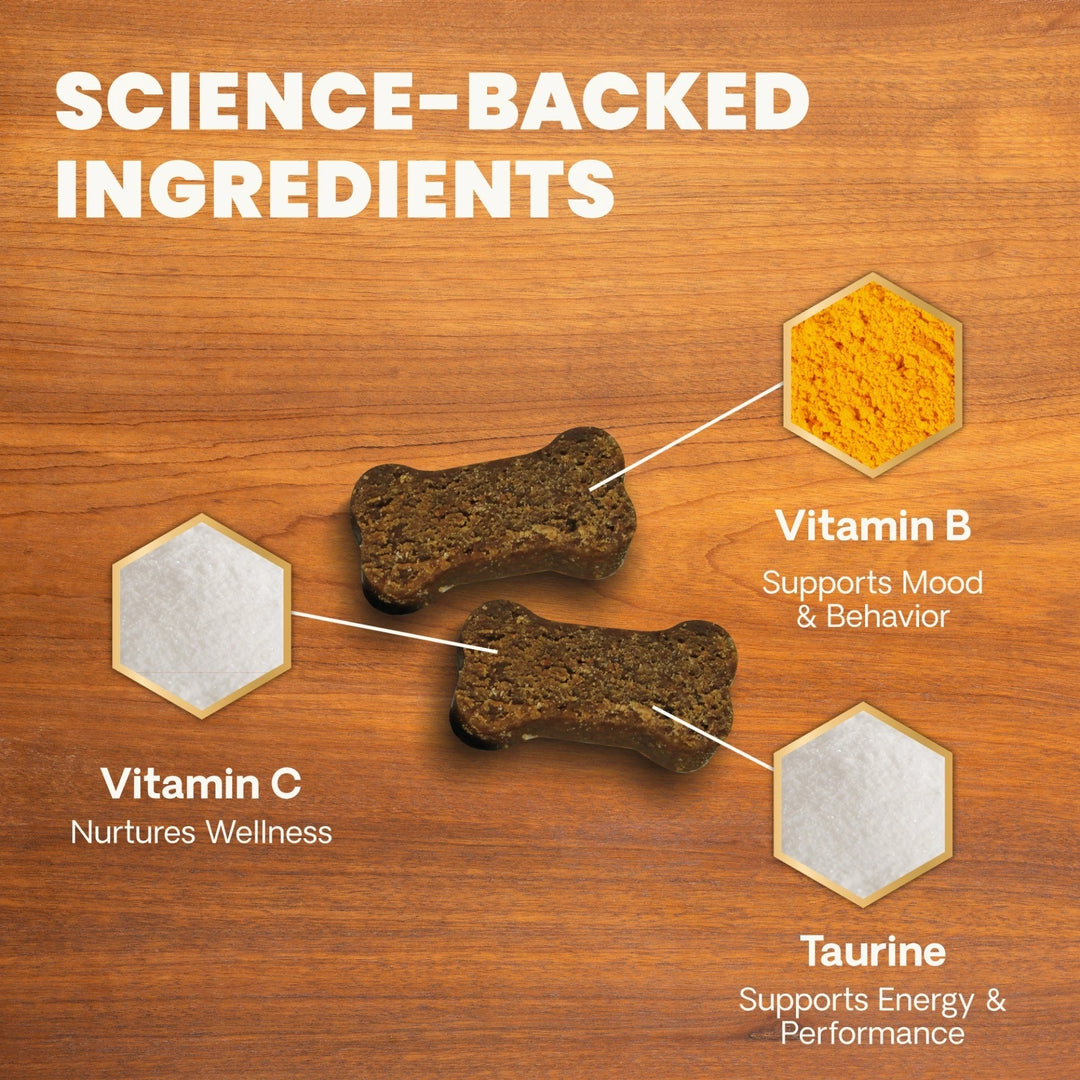 VetriScience Extra Strength Senior 27+ Active Health for Dogs (60 chews) - former known as Golden Years Energize & Thrive Multivitamin