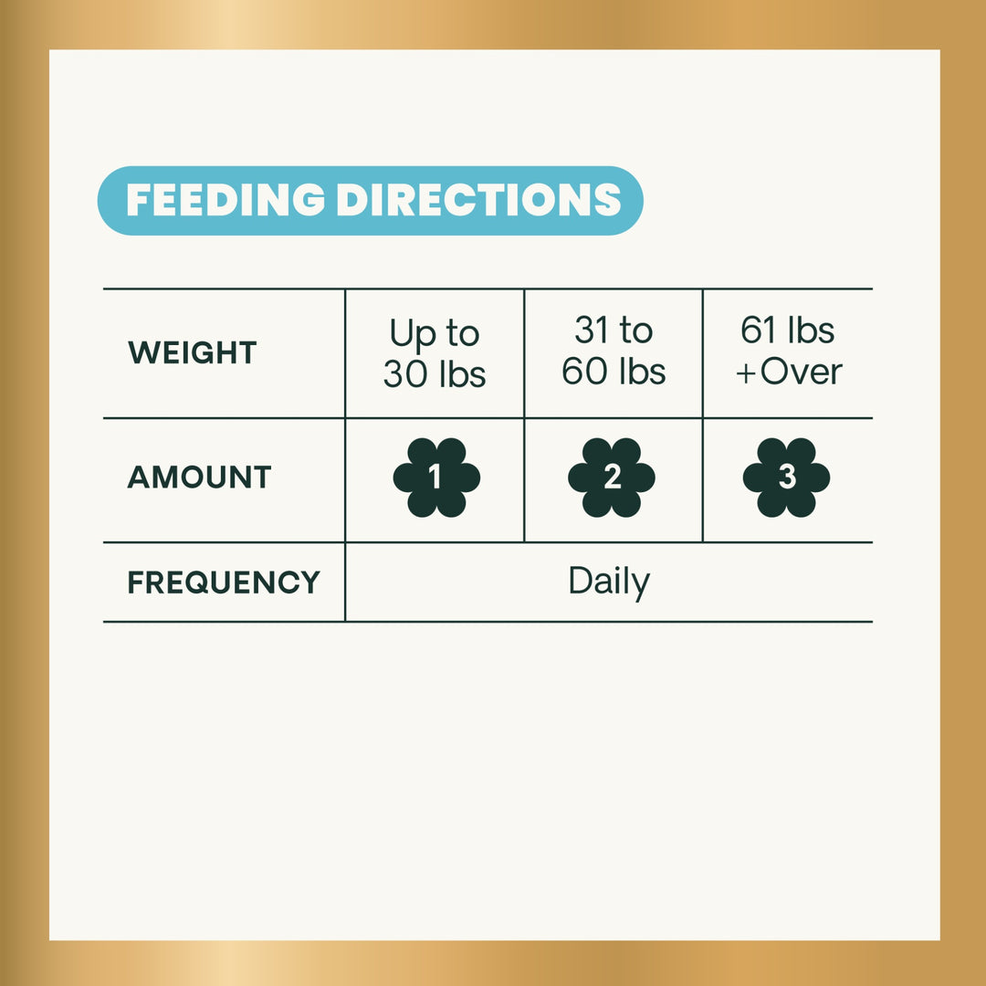 VetriScience Extra Strength Senior 27+ Active Health for Dogs (60 chews) - former known as Golden Years Energize & Thrive Multivitamin