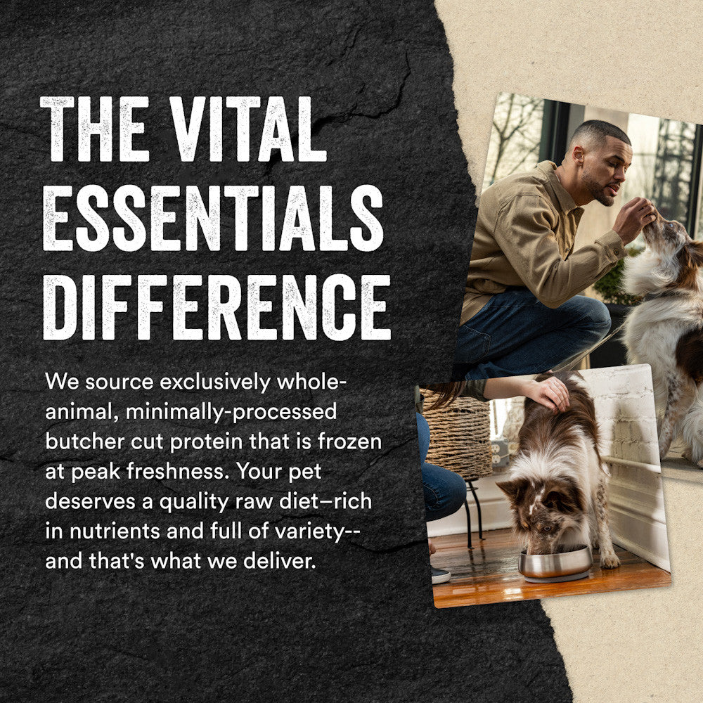 Vital Essentials® Freeze-Dried Beef Bites Dog Treats, 2.5 / 6.2 oz