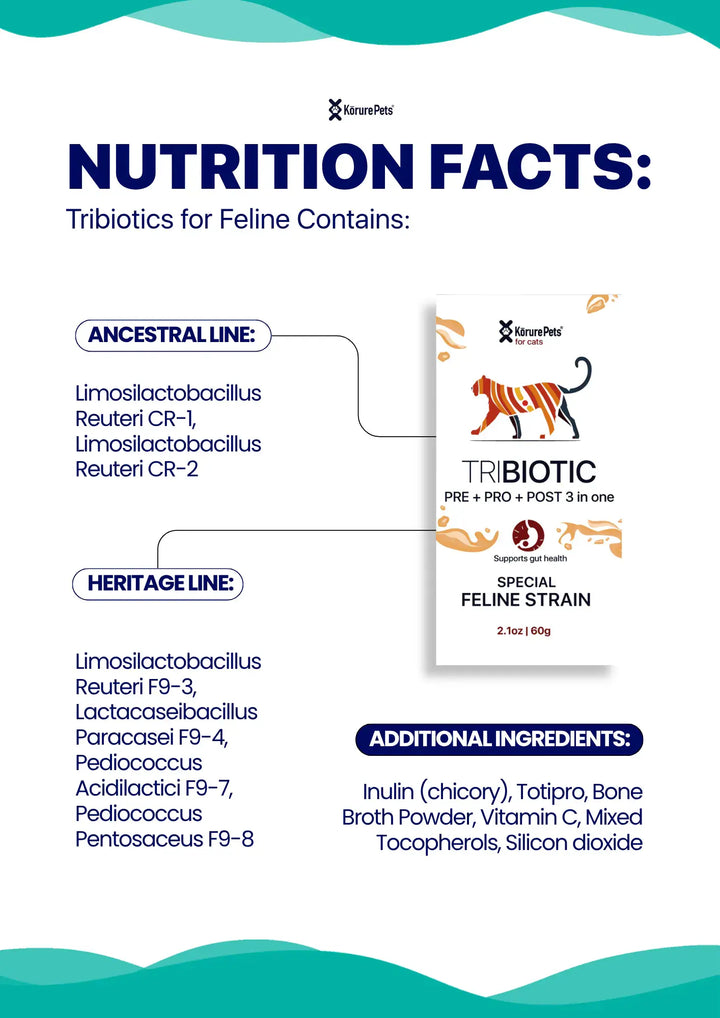 Korure Pets Cat Tribiotic 60g | Prebiotic + Probiotic + Postbiotic | Special Feline & Cougar Strains