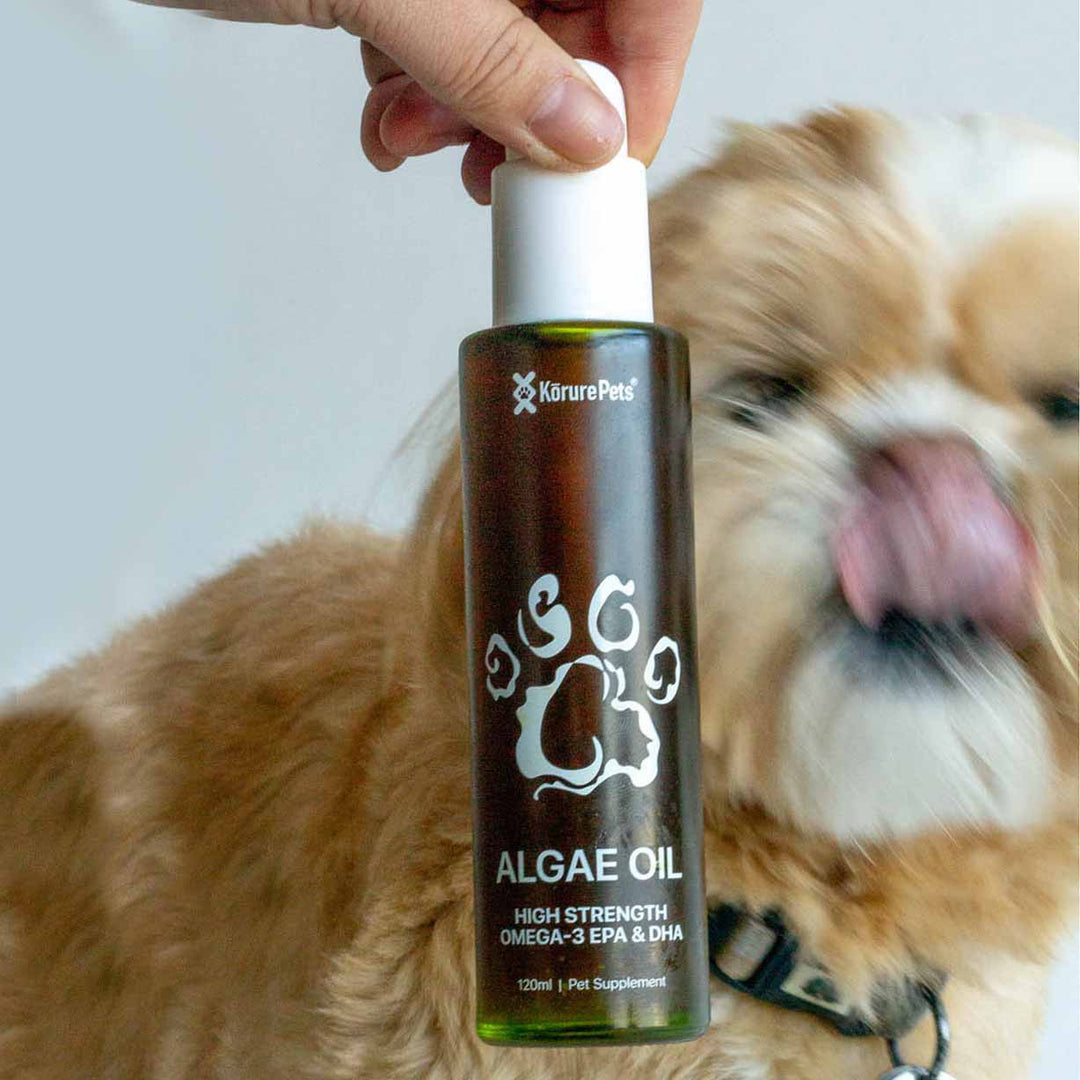 Kōrure Pets Dog Algae Oil (Brain, Heart and Coat Health) - 120ml