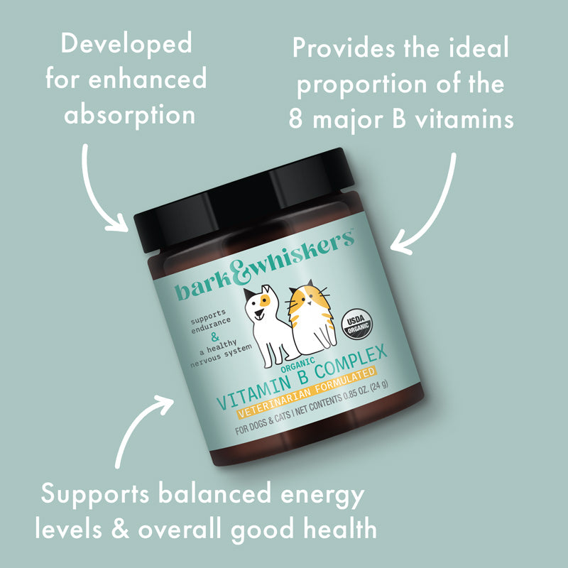Dr. Mercola | Bark & Whiskers™ Organic Vitamin B Complex for Dogs & Cats (24g)
