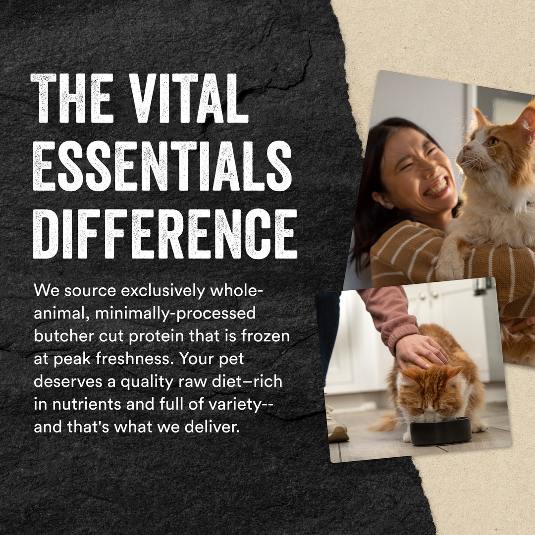 Vital Essentials® Freeze-Dried Chicken Giblets Cat Treats, 1 oz