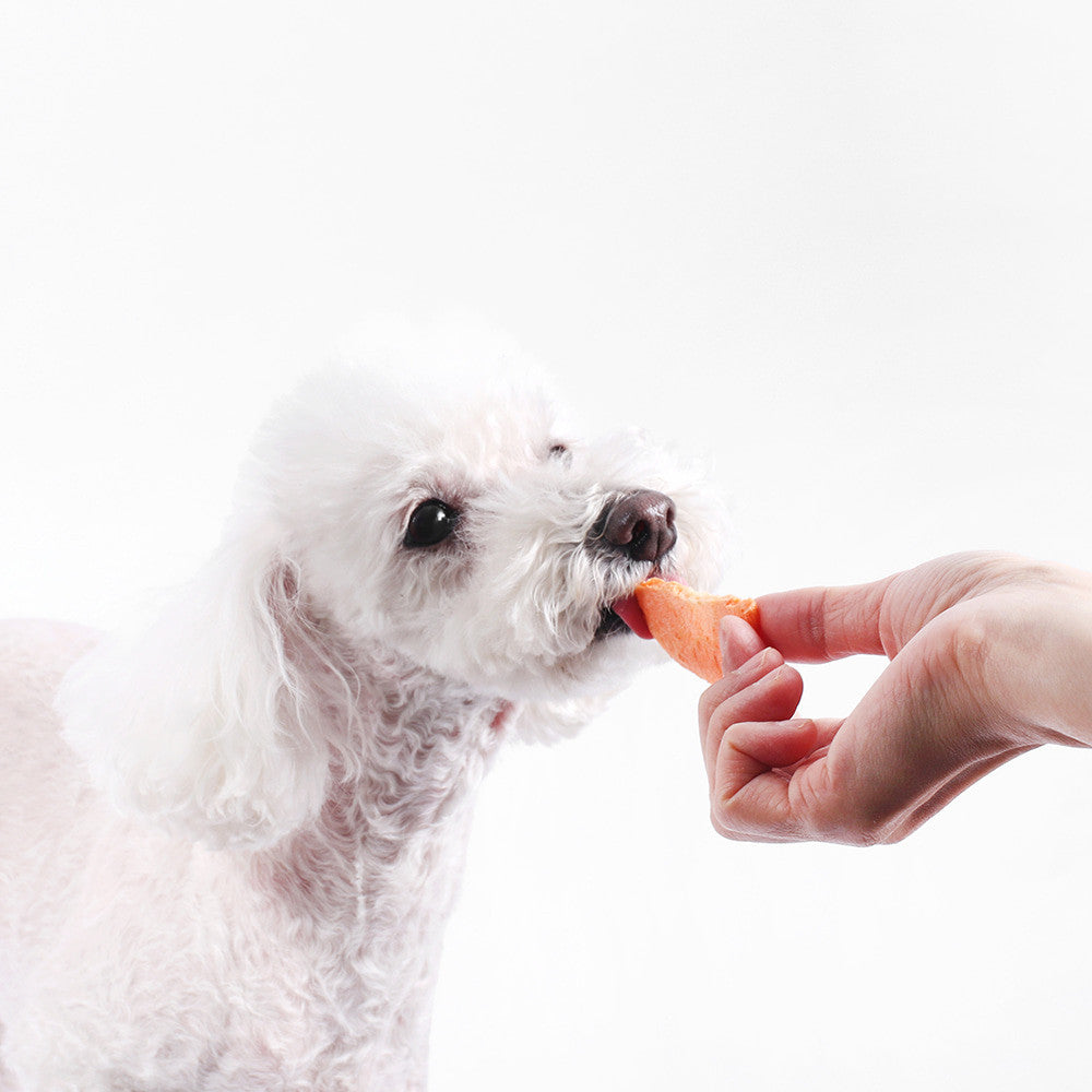 Arlo Kitchen Veggie and Fruit Chips Treats for Dogs (Made in Korea)