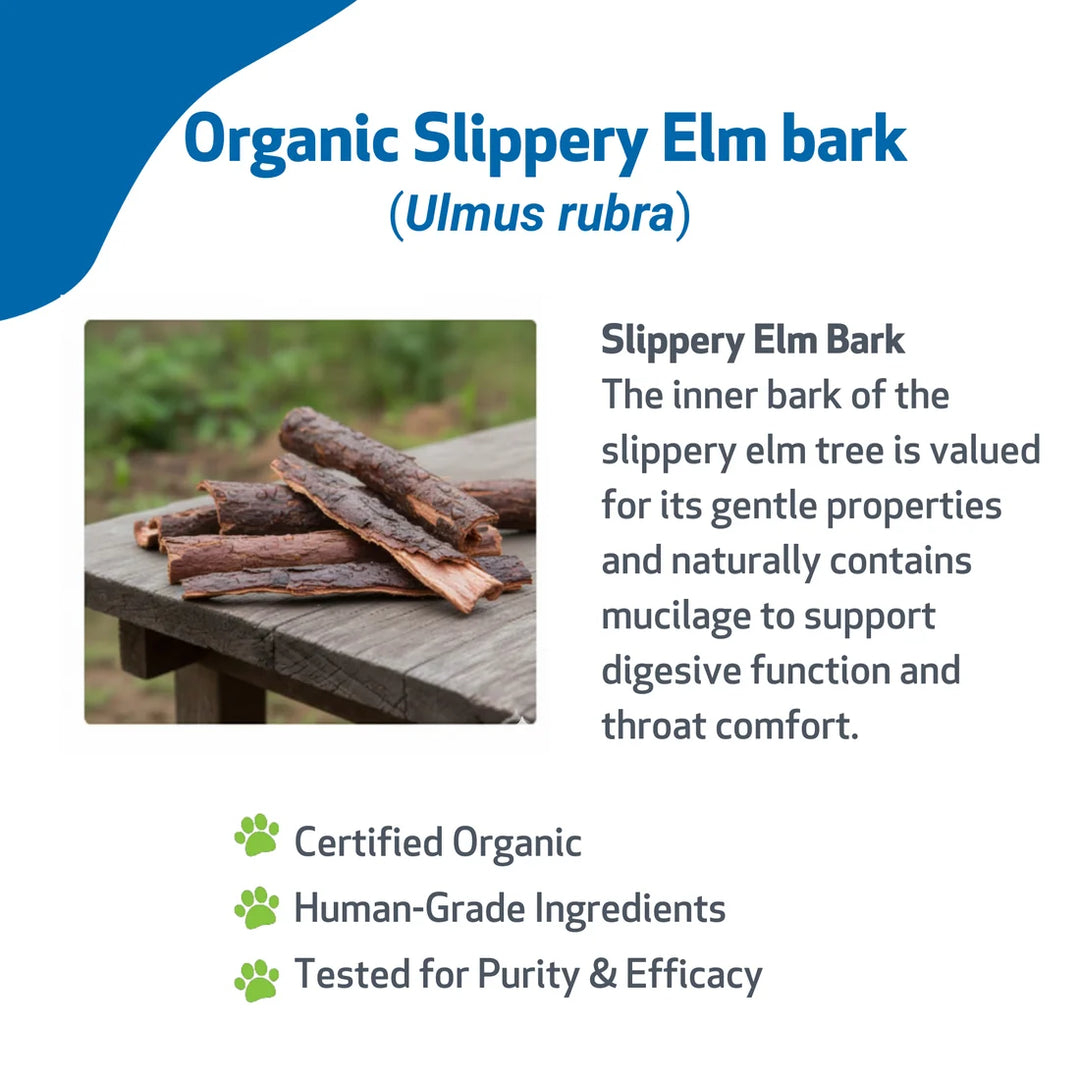 [ NEW! ] Pet Wellbeing Slippery Elm (2oz) - for Healthy Digestive Tract and Throat Tissue in Dogs