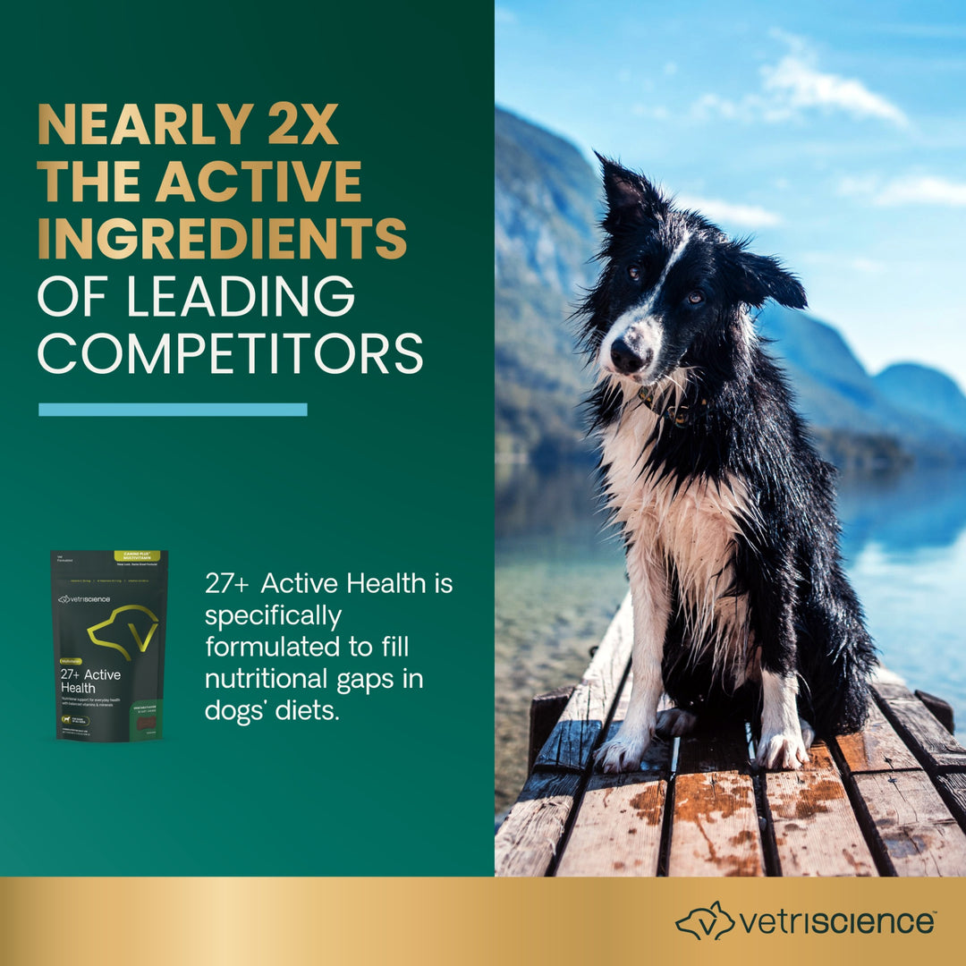 [NEW LOOK!] VetriScience 27+ Active Health for Dogs, 30 chews (previously known as Canine Plus™ Multivitamin)