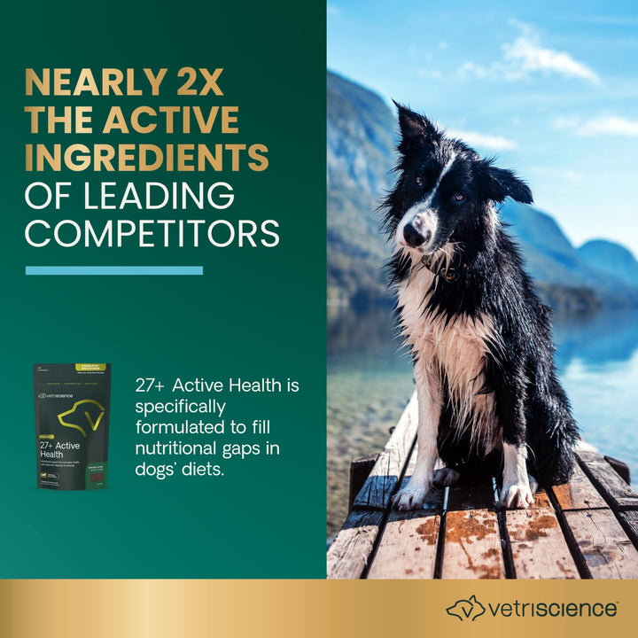 [NEW LOOK!] VetriScience 27+ Active Health for Dogs, 30 chews (previously known as Canine Plus™ Multivitamin)