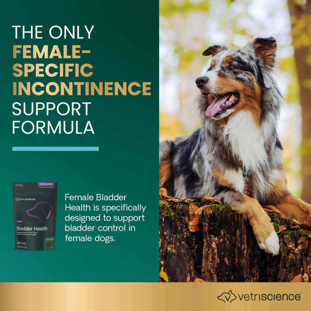 VetriScience Female Bladder Health for Dogs (60 chews)