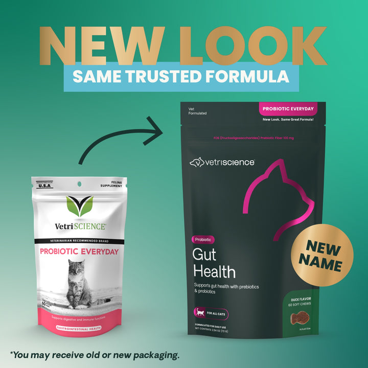 [NEW LOOK!] VetriScience® - Gut Health For Cats (60 chews)  formally known as Probiotic Everyday for Cats