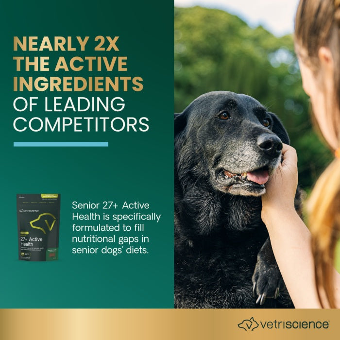 [NEW LOOK!] VetriScience Senior 27+ Active Health 60 chews ( previously known as Canine Plus™ Senior Multivitamin )