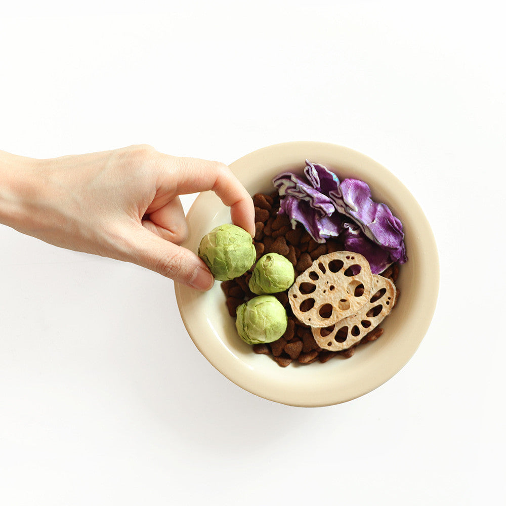 Arlo Kitchen Veggie and Fruit Chips Treats for Dogs (Made in Korea)