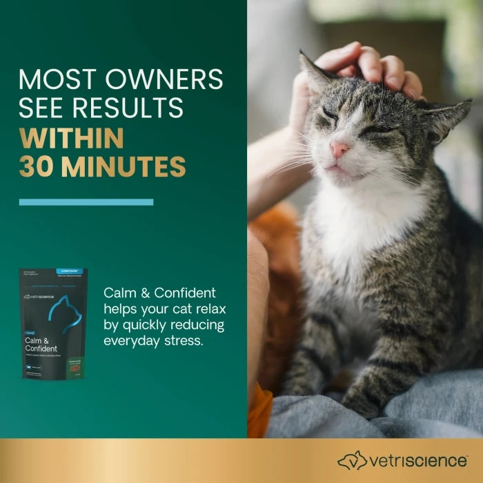 VetriScience ® Calm & Confident - 30 Chicken Flavored Chews, formally Composure™ Calming Supplement for Cats (30 chews)
