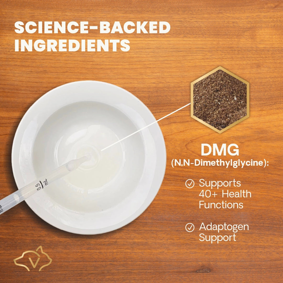 VetriScience DMG Immunity Health - was previously Vetri DMG™ Liquid (30ml/114ml)  - Immune system, liver metabolism, stamina and muscle recovery support