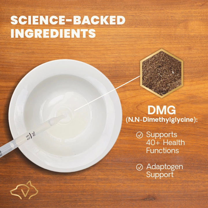 VetriScience DMG Immunity Health - was previously Vetri DMG™ Liquid (30ml/114ml)  - Immune system, liver metabolism, stamina and muscle recovery support