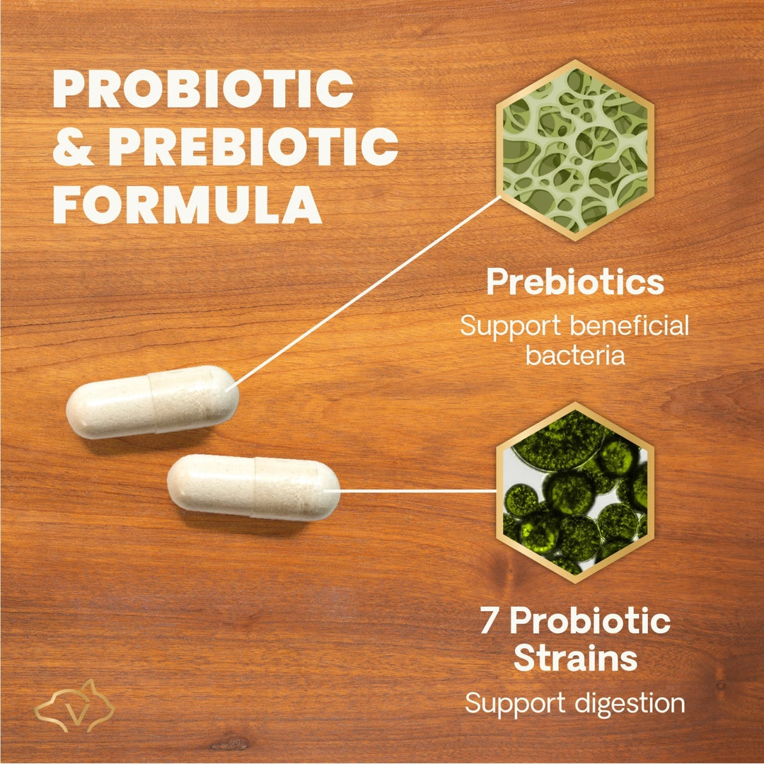 VetriScience® Extra Strength Gut Health - 120 Capsules (formerly known as Mega Probiotics)
