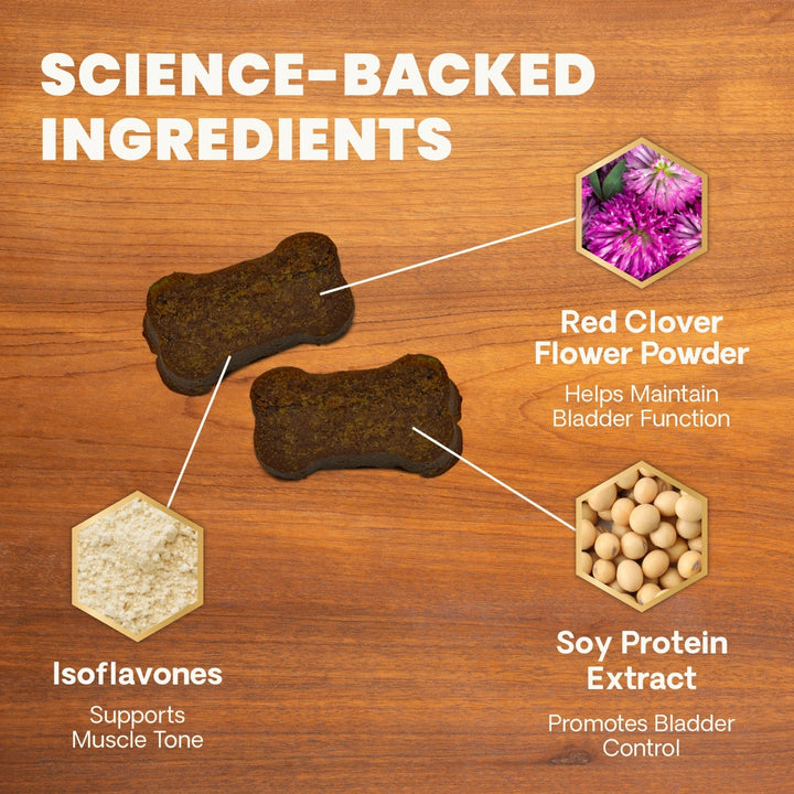 VetriScience Female Bladder Health for Dogs (60 chews)
