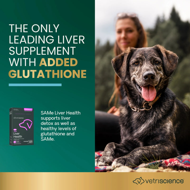 [NEW LOOK!] VetriScience SAMe 225 Liver Health, formally Vetri SAMe 225 - Liver support with SAMe and Glutathione for Medium & Large Dogs (225mg, 30 tabs/box)