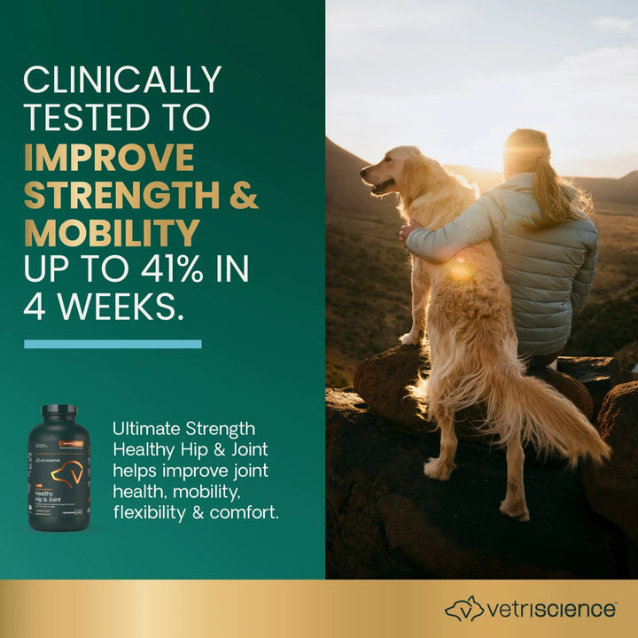 VetriScience® - Ultimate Strength Healthy Hip & Joint Chewable Tablets for Dogs