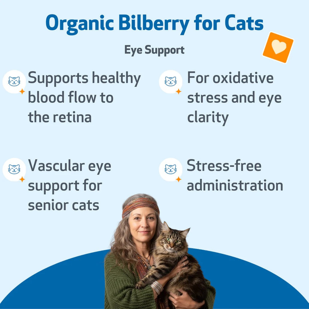 Pet Wellbeing - Bilberry 2oz (Supports Healthy Vision and Capillaries in Dogs)