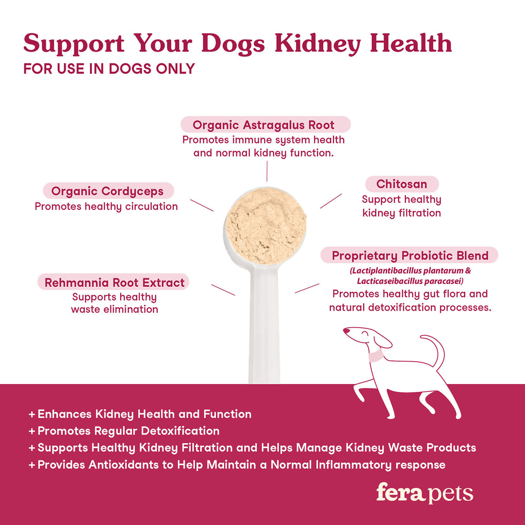 [NEW!] Fera Pets Kidney Support for Dogs (60g)