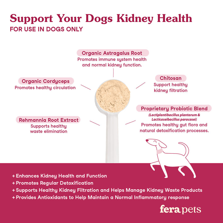 [NEW!] Fera Pets Kidney Support for Dogs (60g)